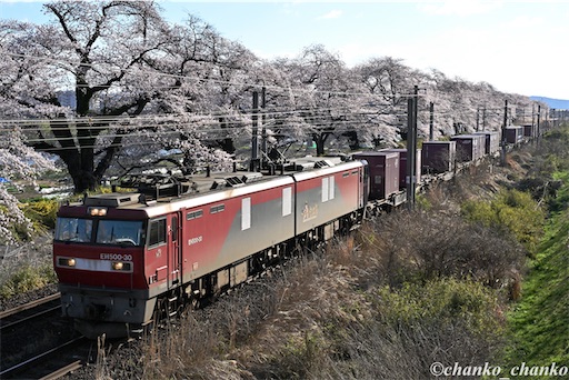 f:id:chankochanko:20260505075658j:image