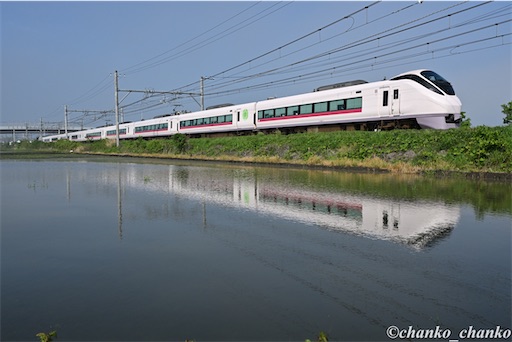 f:id:chankochanko:20260622061850j:image