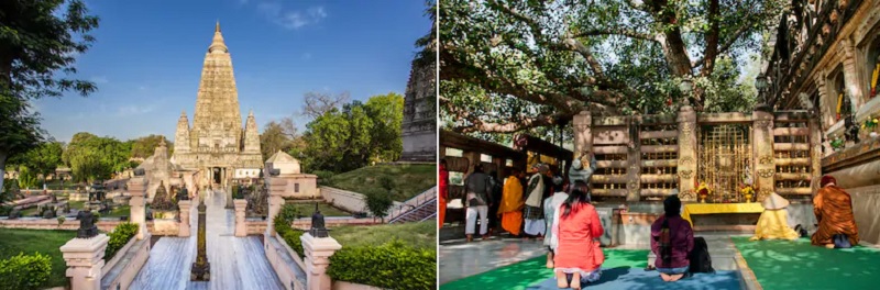 仏教が生まれた地ブッダガヤ―にある寺院と菩提樹
