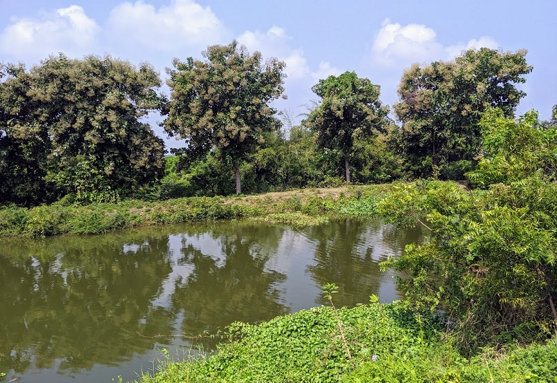 バスの車窓からの自然豊かな景色
