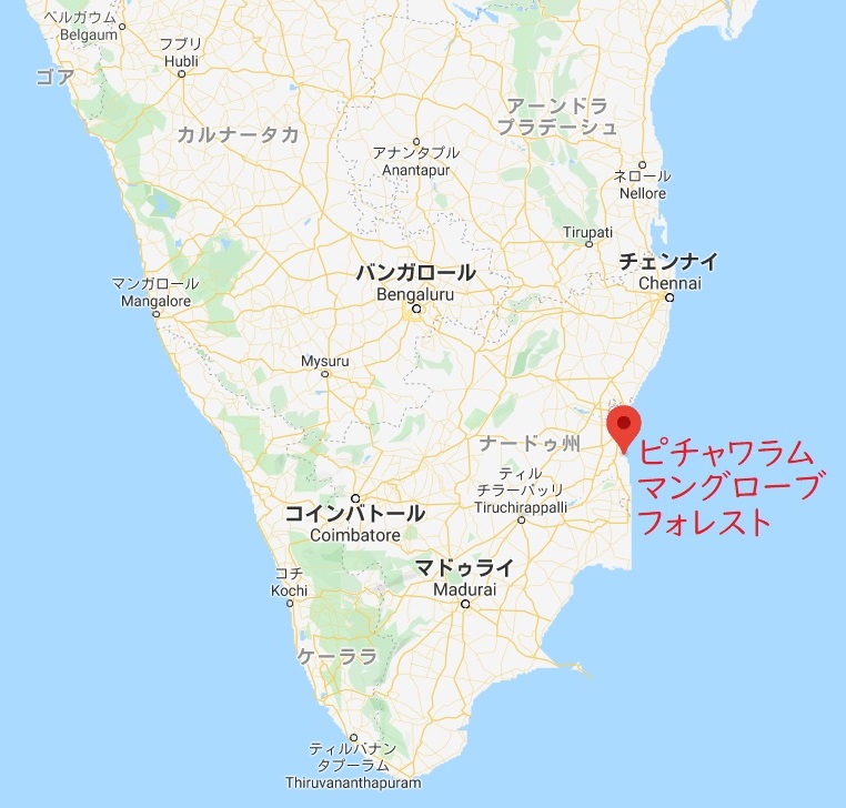 ピチャワラムマングローブ林の場所