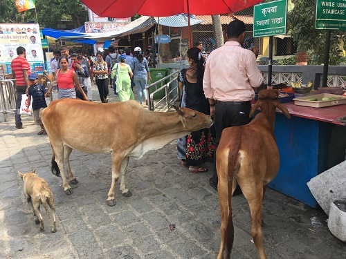 参道入り口の屋台