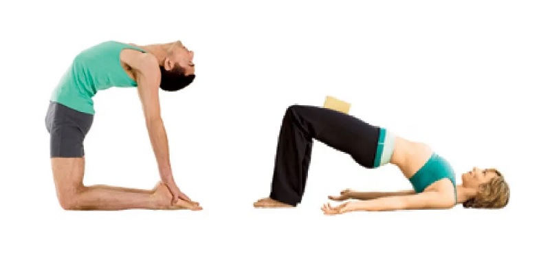 ラクダのポーズと橋のポーズ