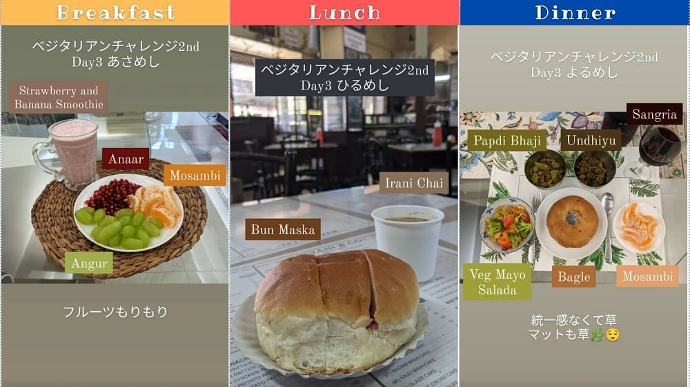 ベジタリアン生活②3日目