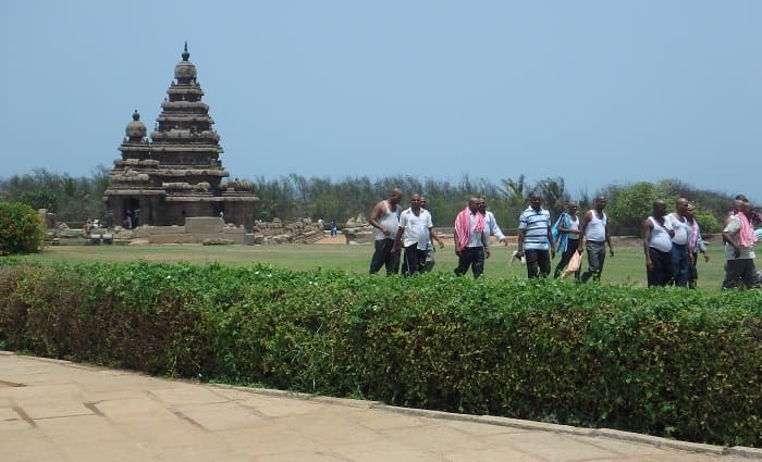 海岸寺院と防風林