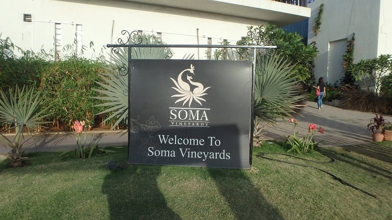 Soma Vineyards