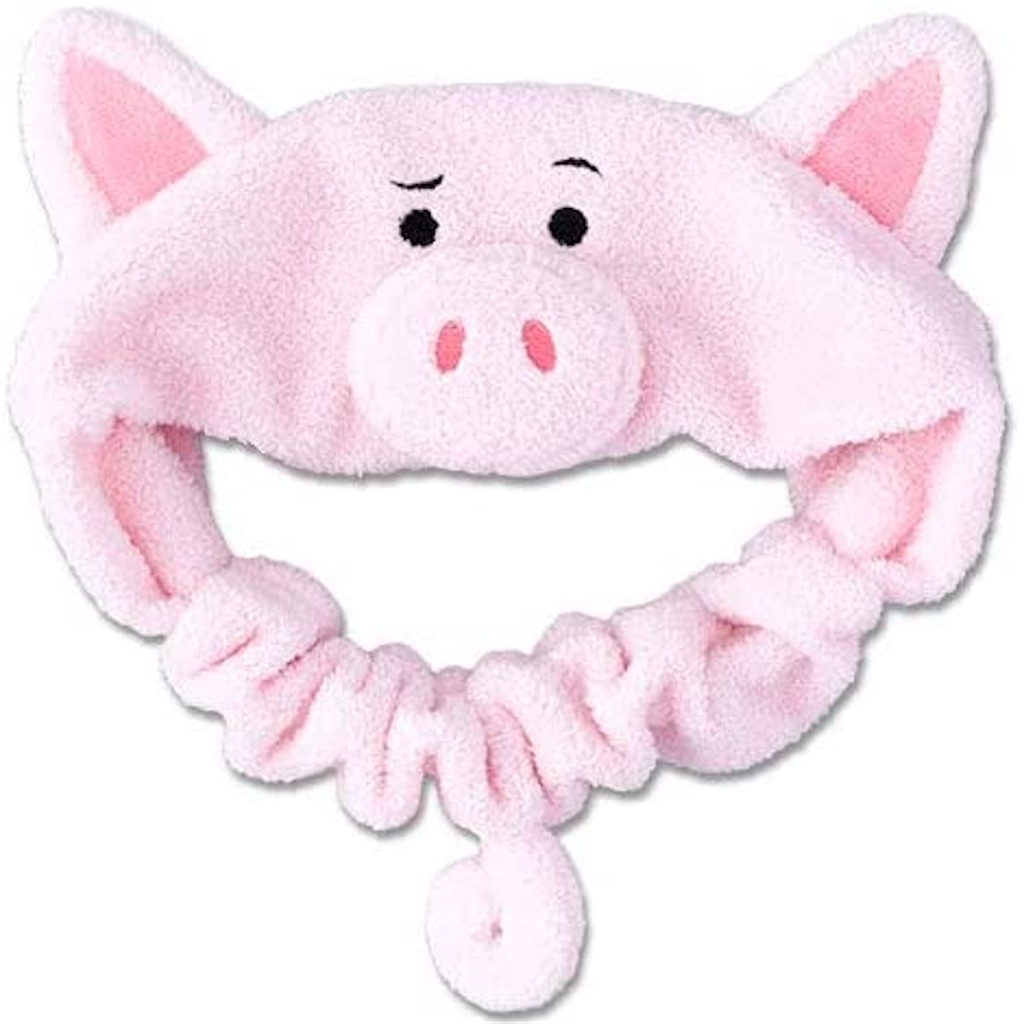 f:id:chankotochan:20210501094500j:image f:id:chankotochan:20210501094500j:image