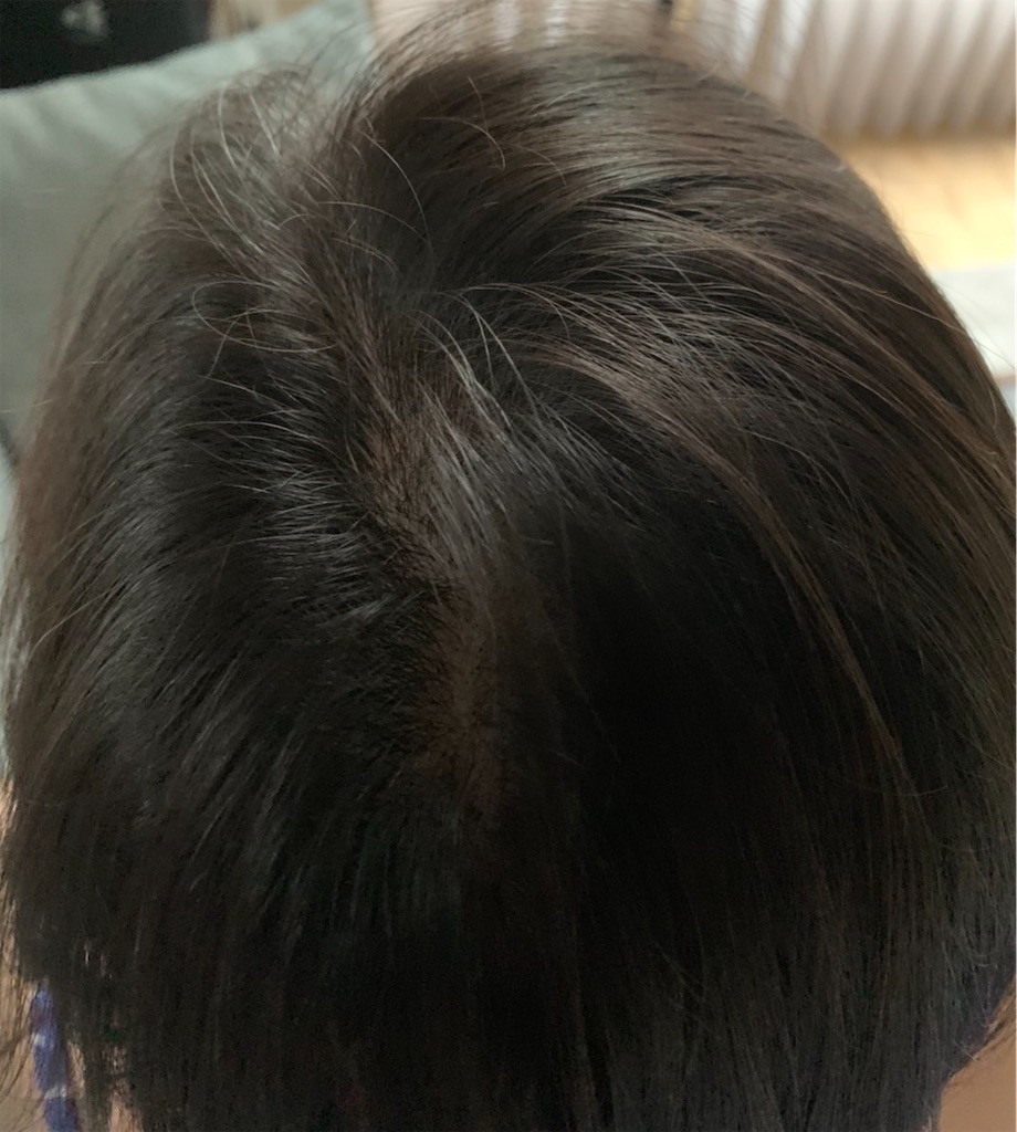 f:id:chankotochan:20210506061559j:image f:id:chankotochan:20210506061559j:image