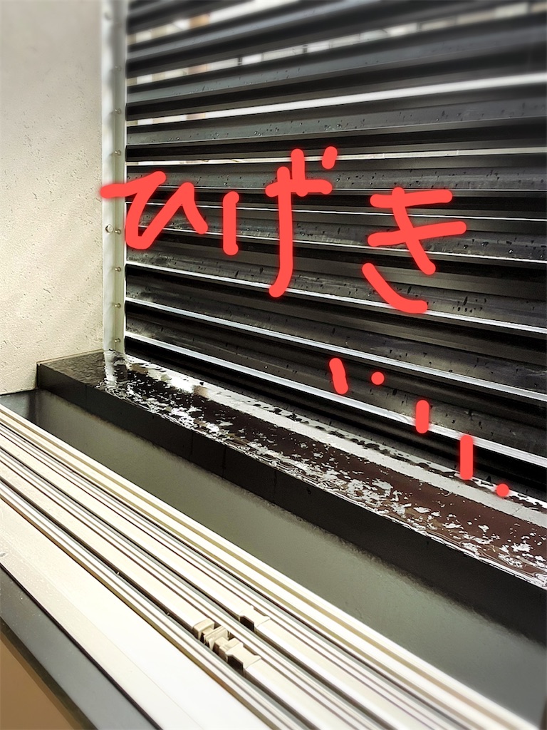 f:id:chankotochan:20210522063120j:image f:id:chankotochan:20210522063120j:image