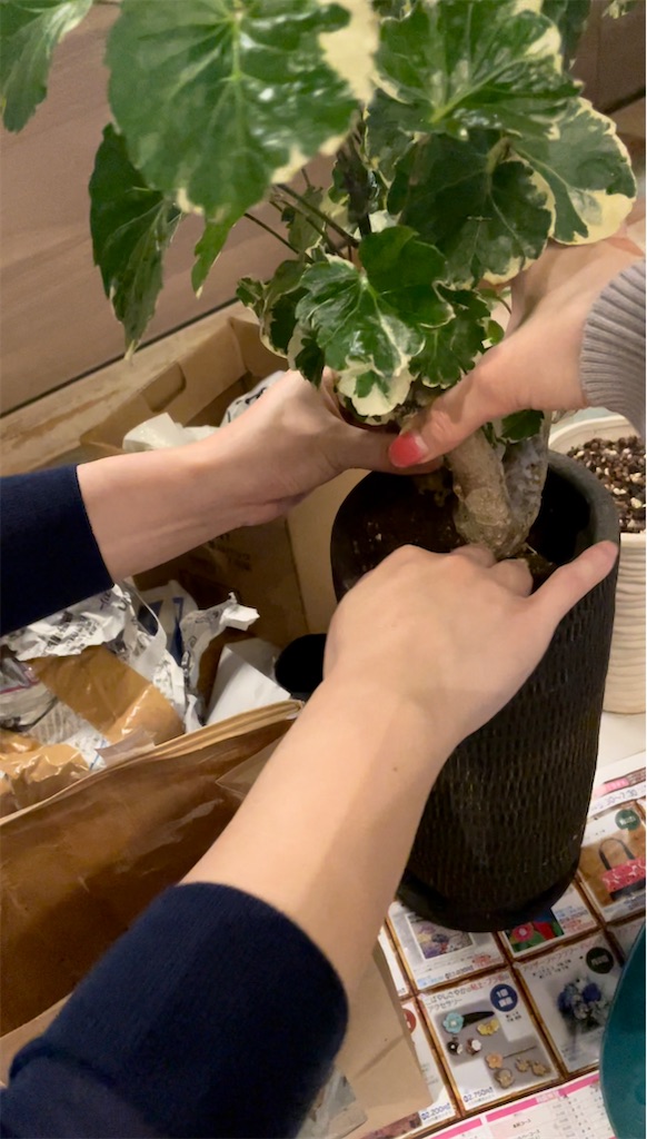 f:id:chankotochan:20210523213955j:image f:id:chankotochan:20210523213955j:image