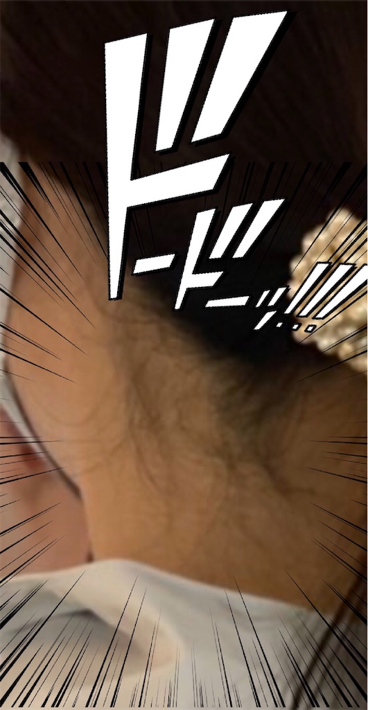 f:id:chankotochan:20210529084844j:image