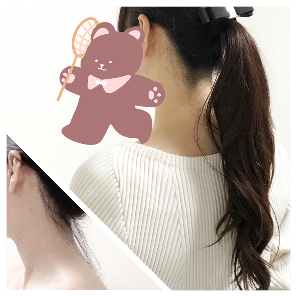 f:id:chankotochan:20210529084955j:image