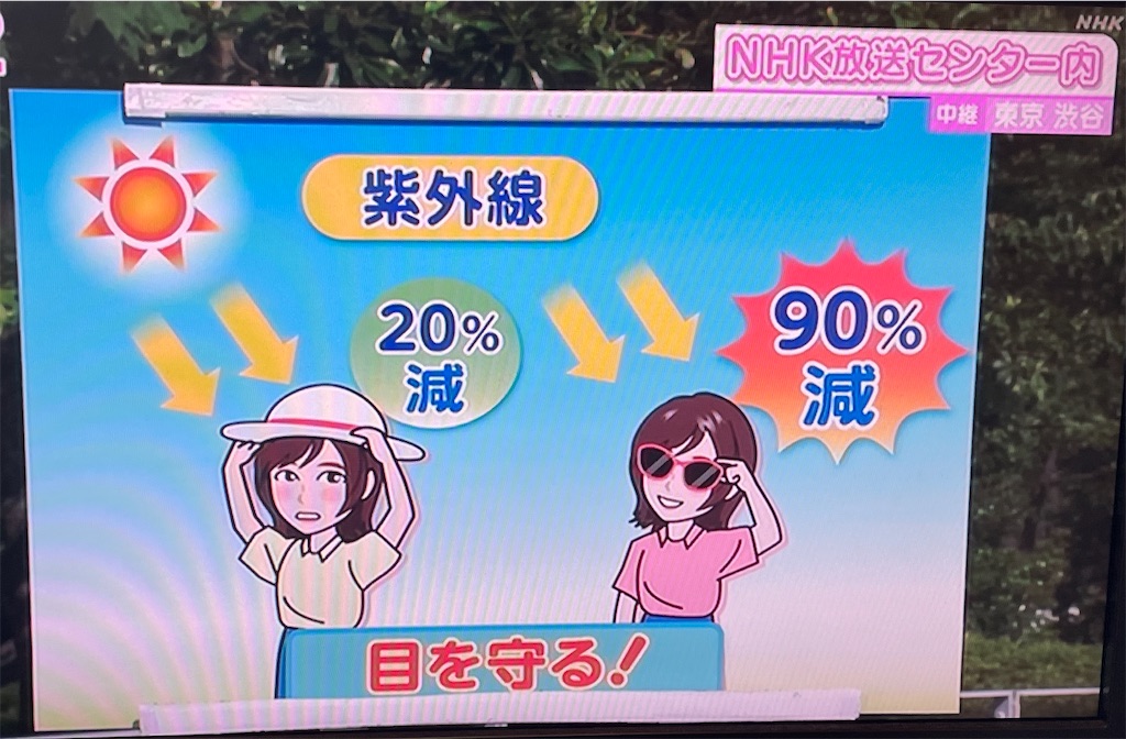 f:id:chankotochan:20210613102932j:image