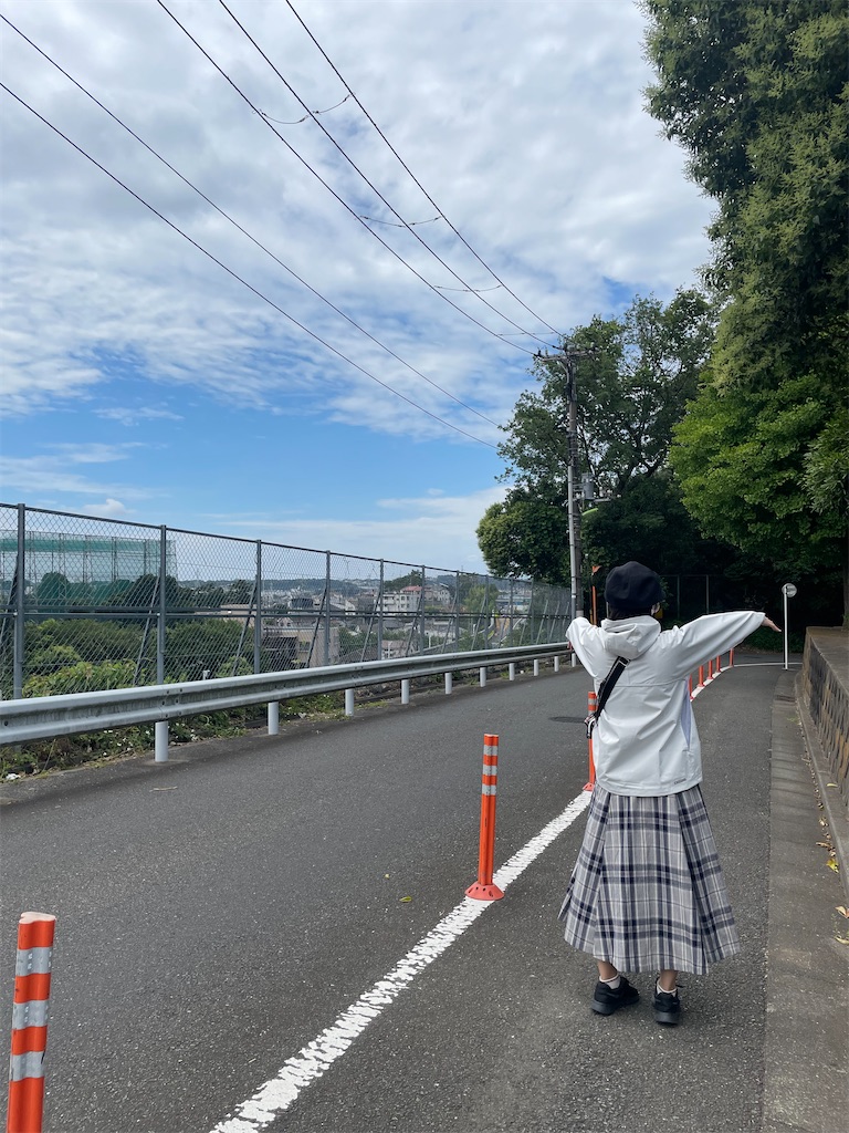 f:id:chankotochan:20210613103304j:image