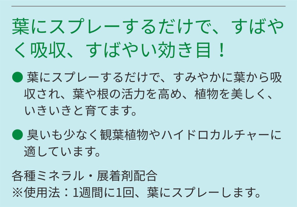 f:id:chankotochan:20210621083421j:image