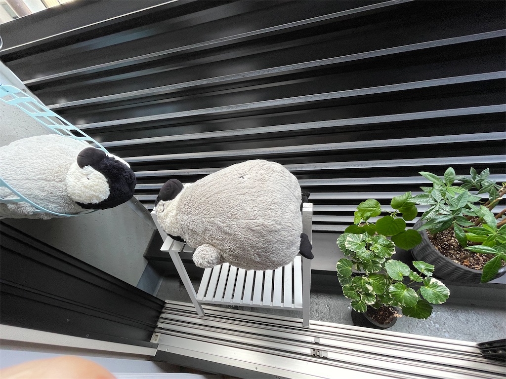 f:id:chankotochan:20210627123119j:image