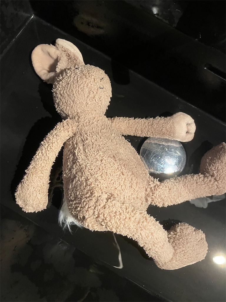 f:id:chankotochan:20210703141024j:image f:id:chankotochan:20210703141024j:image