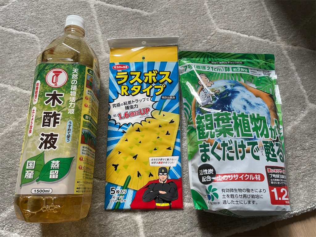f:id:chankotochan:20210707081512j:image f:id:chankotochan:20210707081512j:image