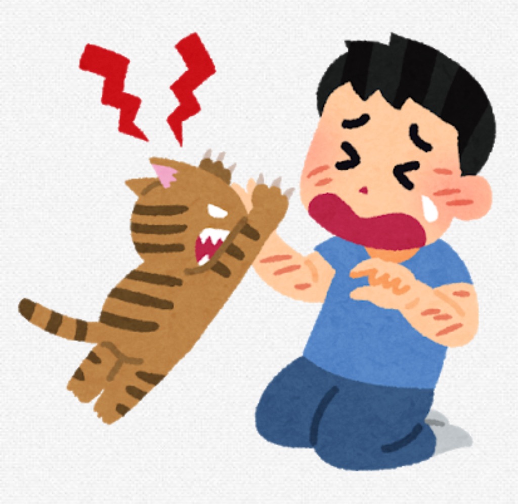 f:id:chankotochan:20210715081903j:image