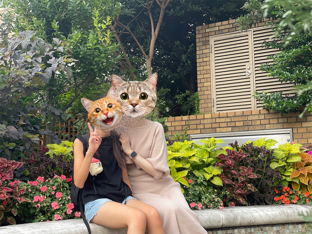 f:id:chankotochan:20210730123808j:image f:id:chankotochan:20210730123808j:image