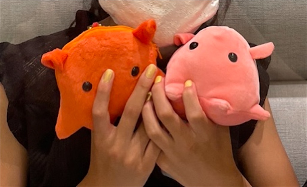 f:id:chankotochan:20210730141736j:image f:id:chankotochan:20210730141736j:image