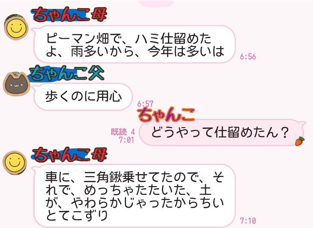 f:id:chankotochan:20210907080217j:image
