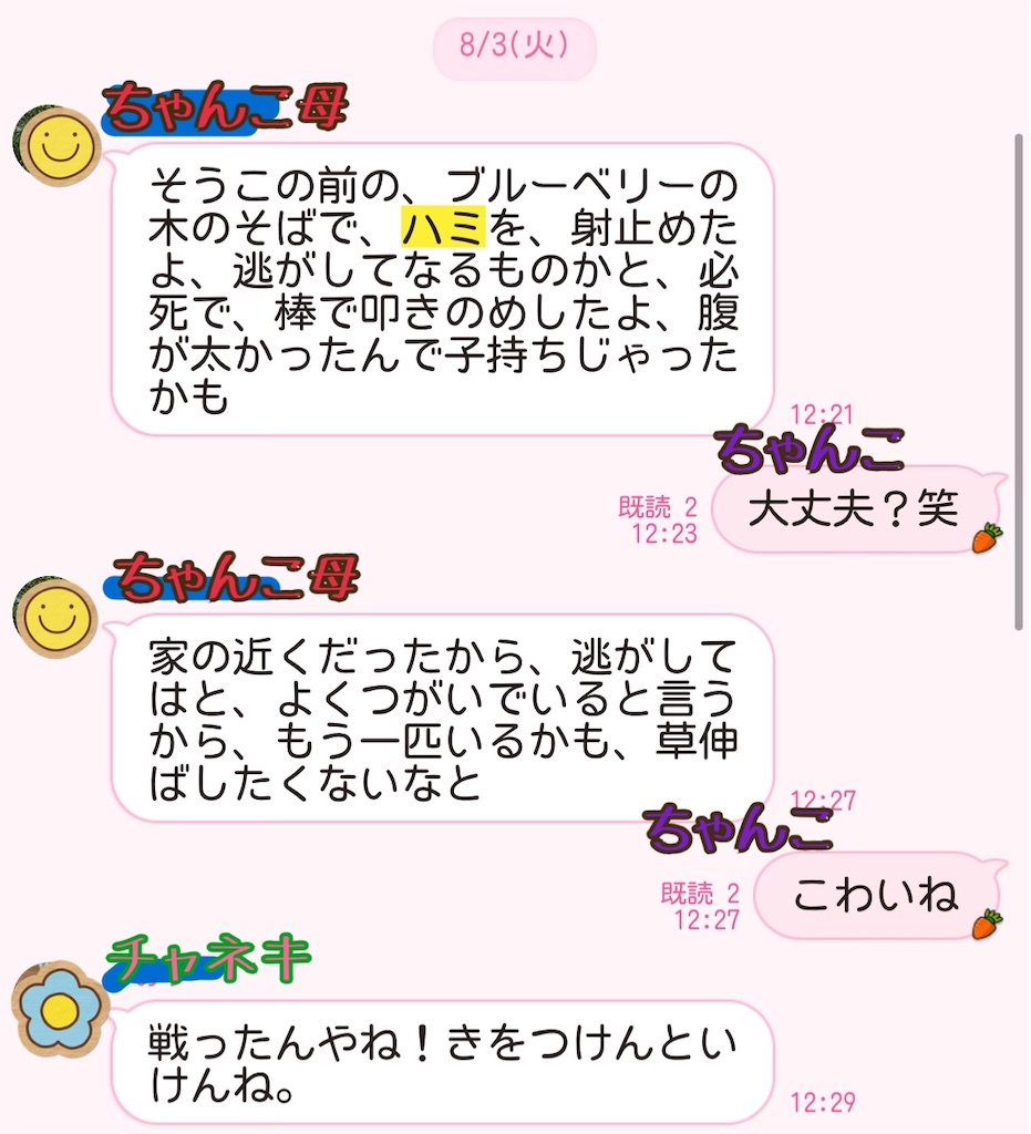 f:id:chankotochan:20210907080229j:image