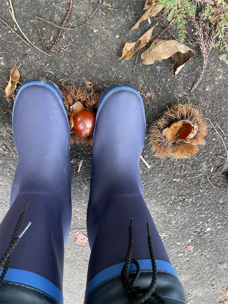 f:id:chankotochan:20210927084210j:image f:id:chankotochan:20210927084210j:image