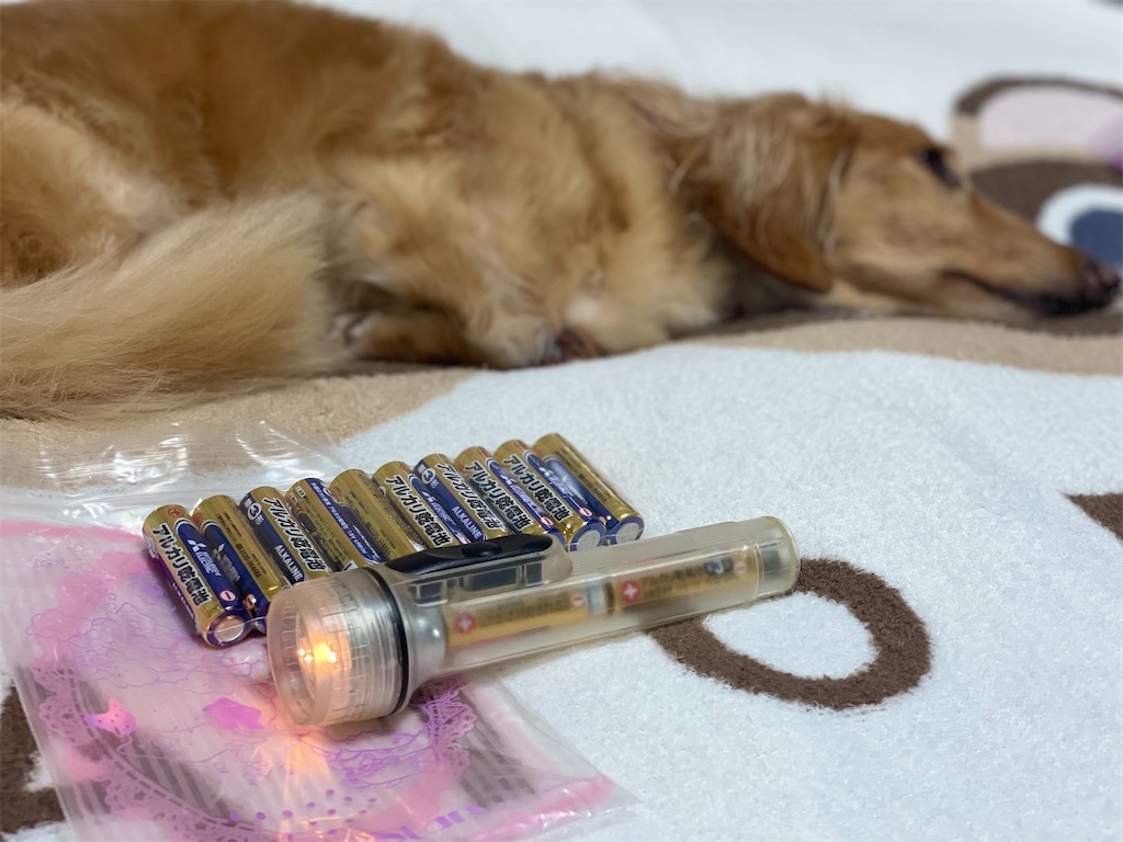 f:id:chankotochan:20211014142746j:image