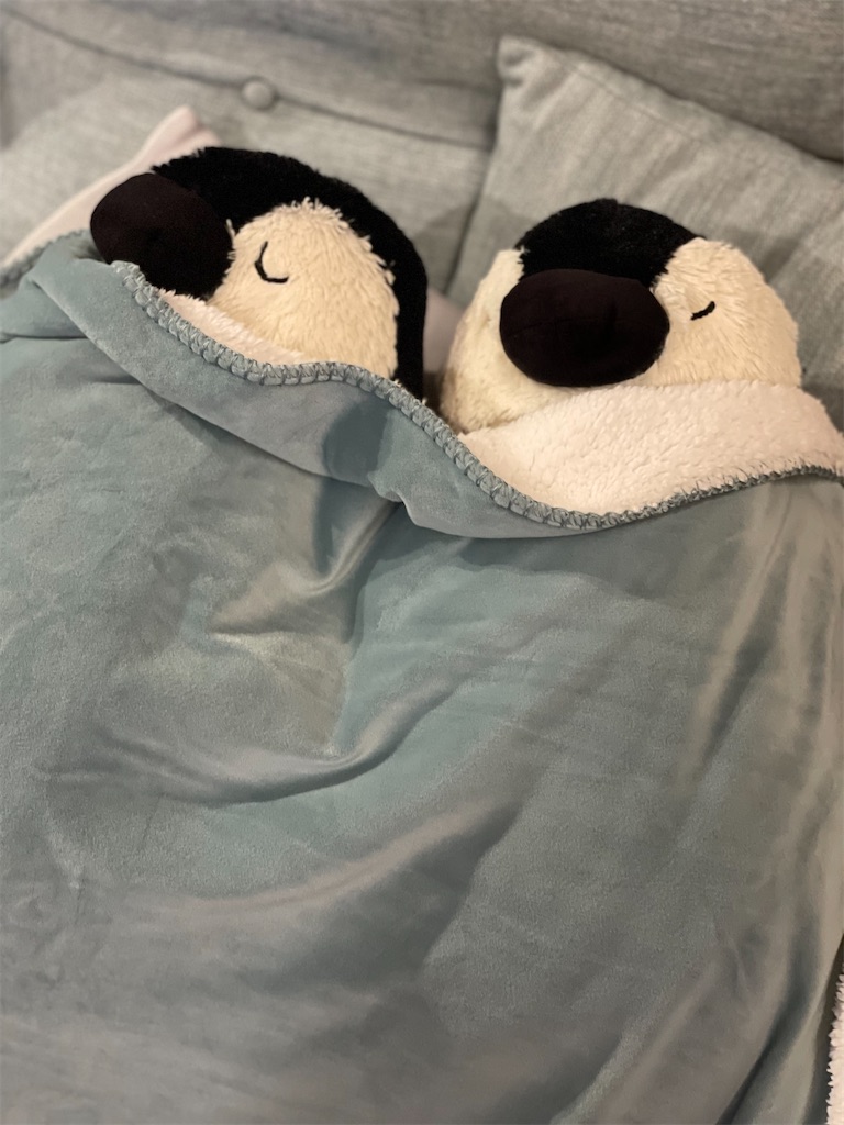 f:id:chankotochan:20211114003232j:image f:id:chankotochan:20211114003232j:image