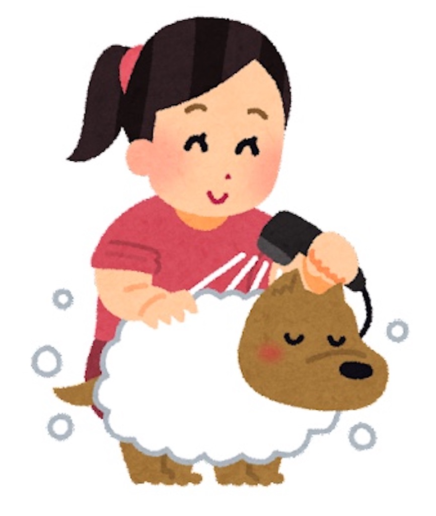 f:id:chankotochan:20211127205918j:image f:id:chankotochan:20211127205918j:image