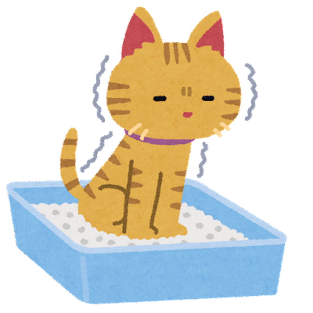 f:id:chankotochan:20211127223611p:image f:id:chankotochan:20211127223611p:image
