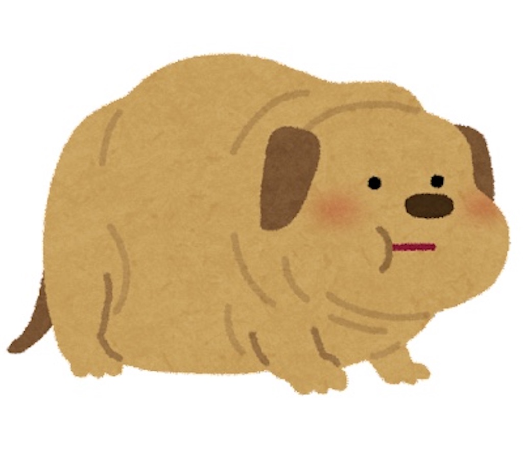 f:id:chankotochan:20220206142318j:image f:id:chankotochan:20220206142318j:image