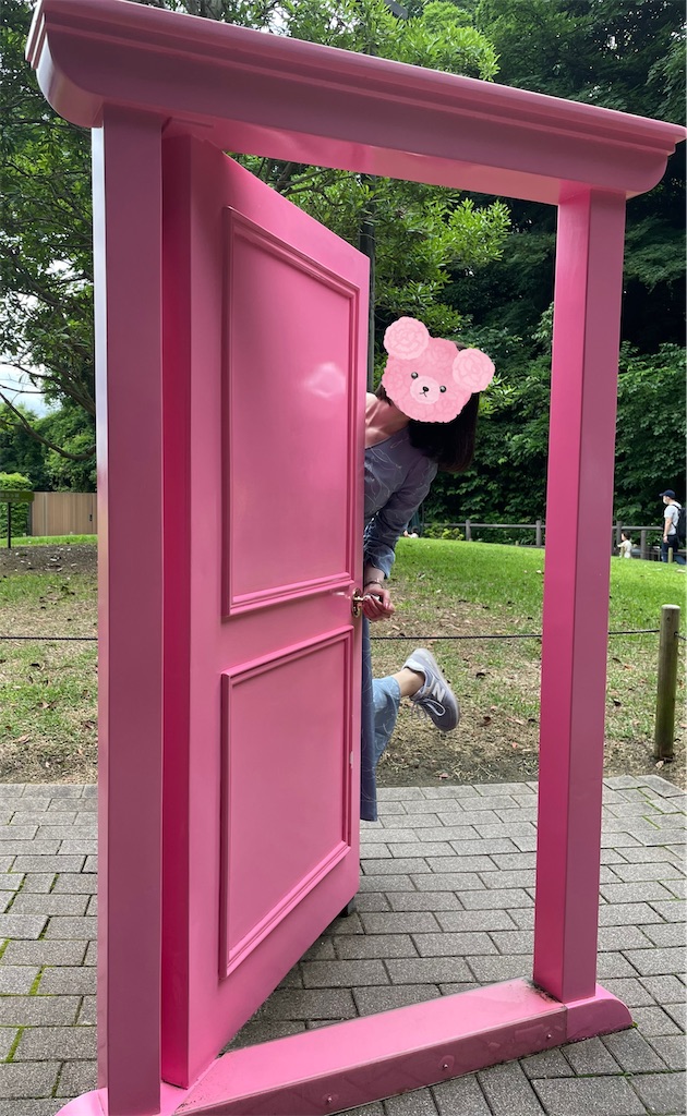 f:id:chankotochan:20220612010736j:image