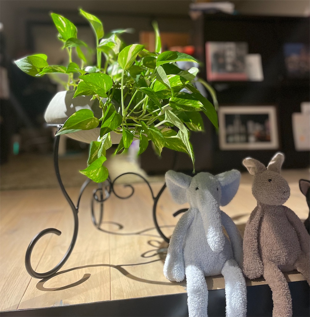 コバエ対策とは 人気 最新記事を集めました はてな