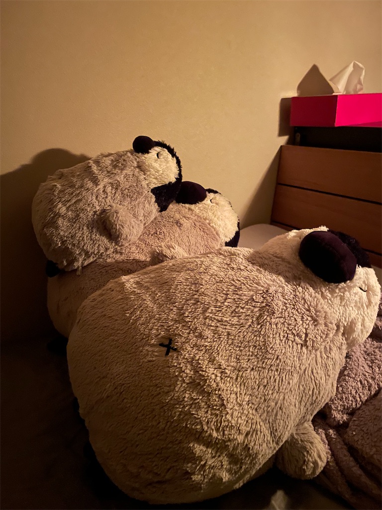 f:id:chankotochan:20220730101857j:image