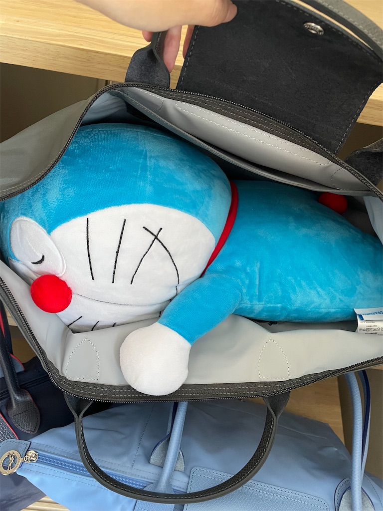 f:id:chankotochan:20220906090430j:image