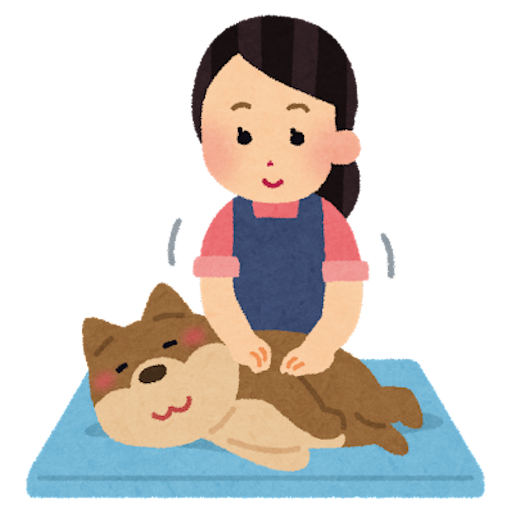 f:id:chankotochan:20220926012537p:image f:id:chankotochan:20220926012537p:image