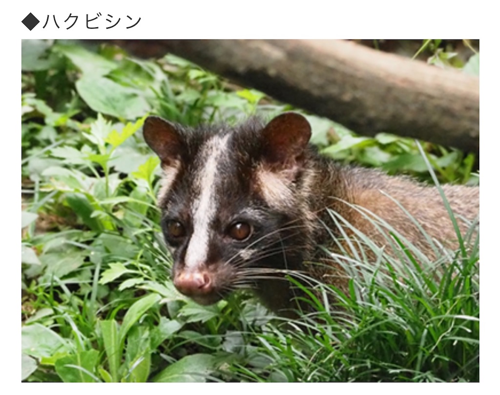 f:id:chankotochan:20221009230745j:image