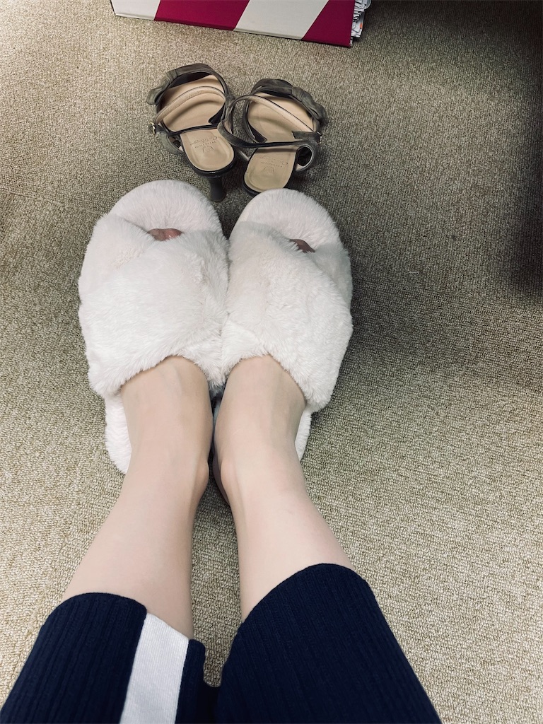 f:id:chankotochan:20221012124452j:image