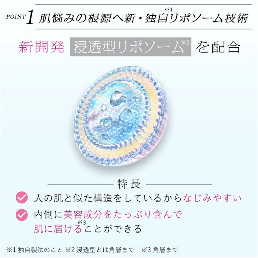 f:id:chankotochan:20230109140107j:image