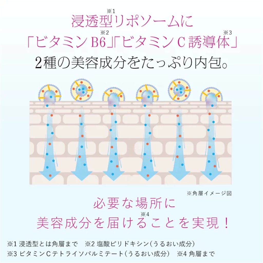 f:id:chankotochan:20230109140110j:image