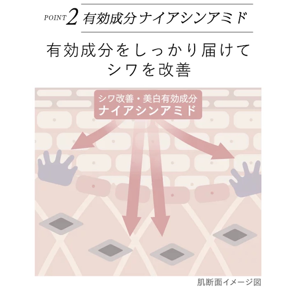 f:id:chankotochan:20230109140113j:image