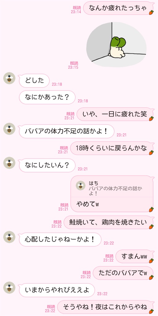 f:id:chankotochan:20230205011147j:image