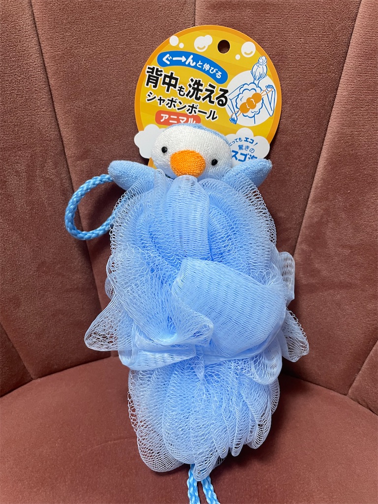 f:id:chankotochan:20230205144341j:image