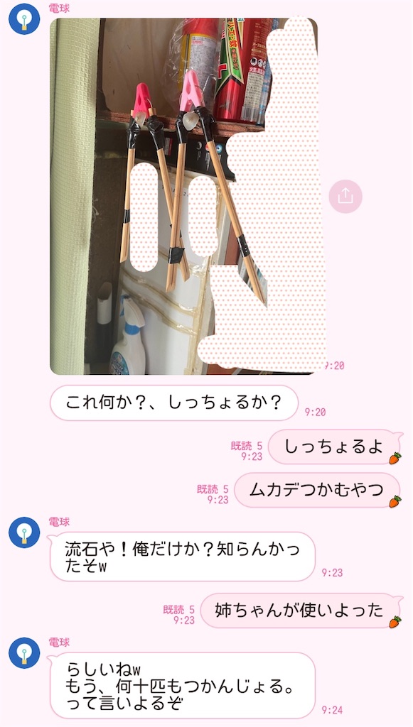 f:id:chankotochan:20230210160209j:image f:id:chankotochan:20230210160209j:image