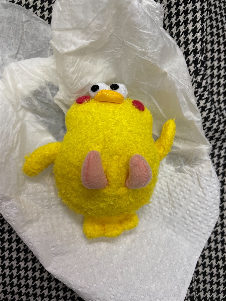 f:id:chankotochan:20230215110215j:image f:id:chankotochan:20230215110215j:image