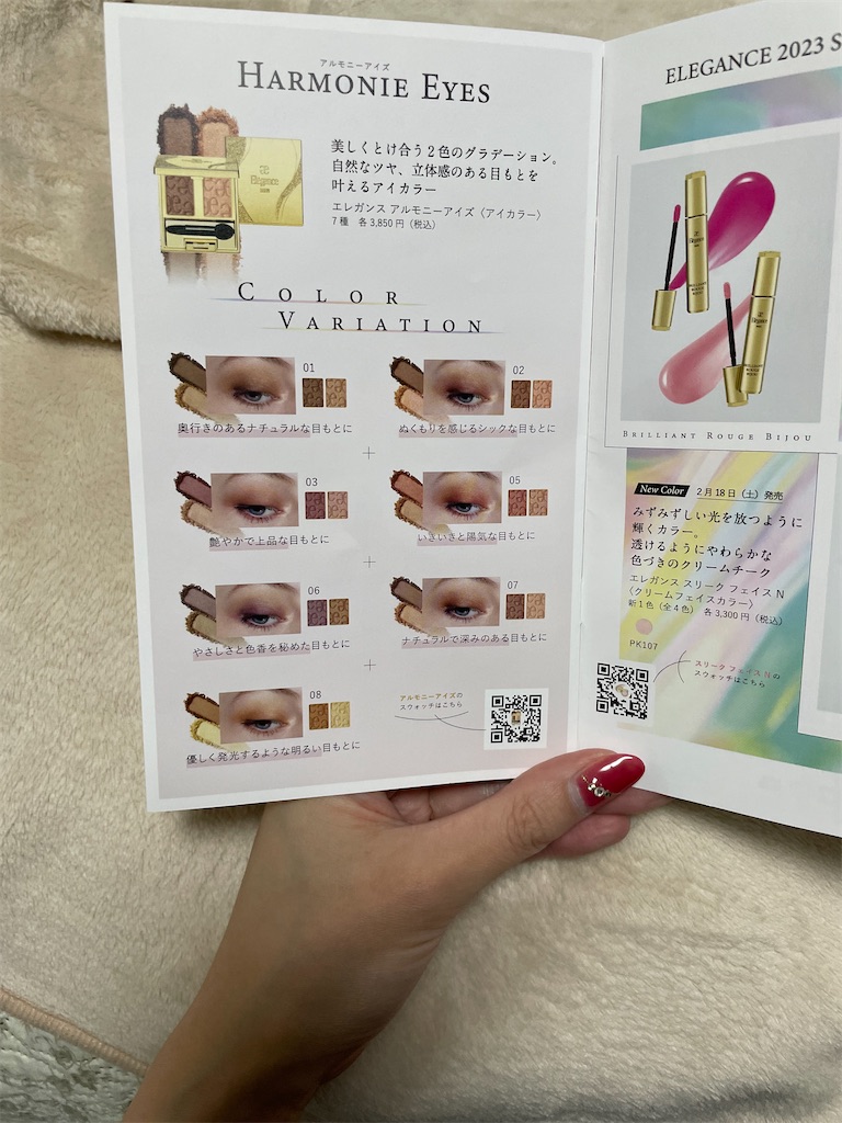 f:id:chankotochan:20230218230737j:image