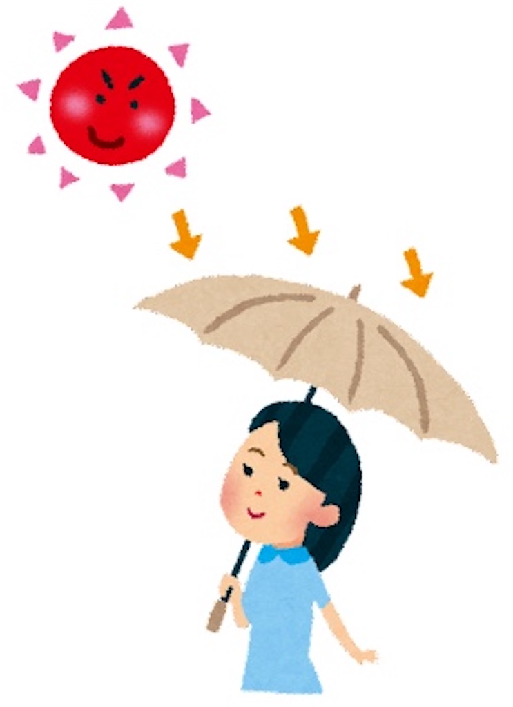 f:id:chankotochan:20230218231328j:image