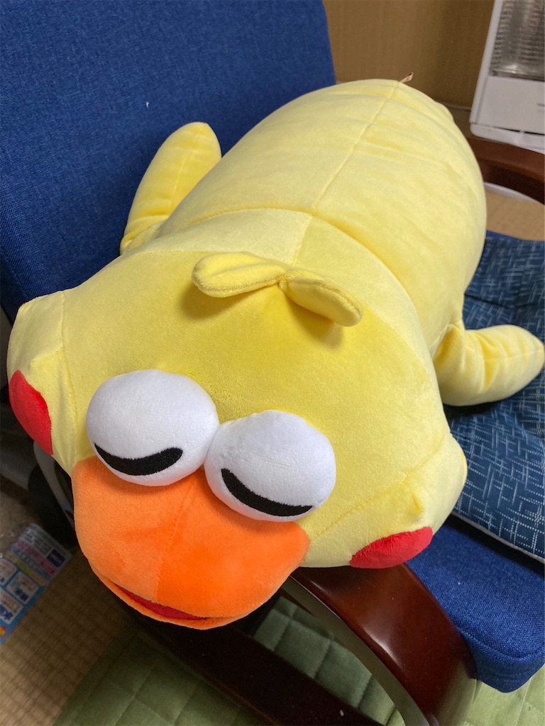f:id:chankotochan:20230219214649j:image
